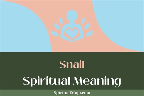 spiritual meaning of a snail|Snail Spiritual Meaning (Decoding Snail’s Sacred Message).